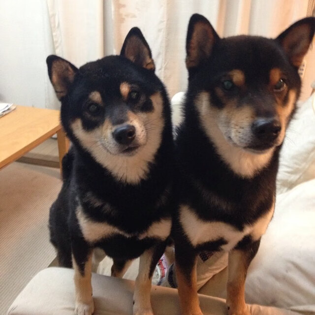 华体会-篮网强行终结吉林主场不败金身，贝恩关键时刻接管比赛成胜负手