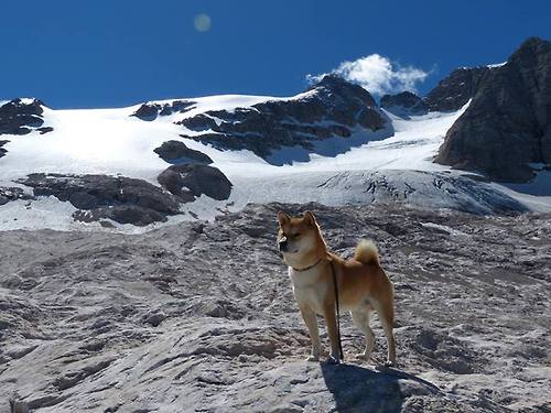 隔空对决，绿茵场与篮球场的统治力宣言