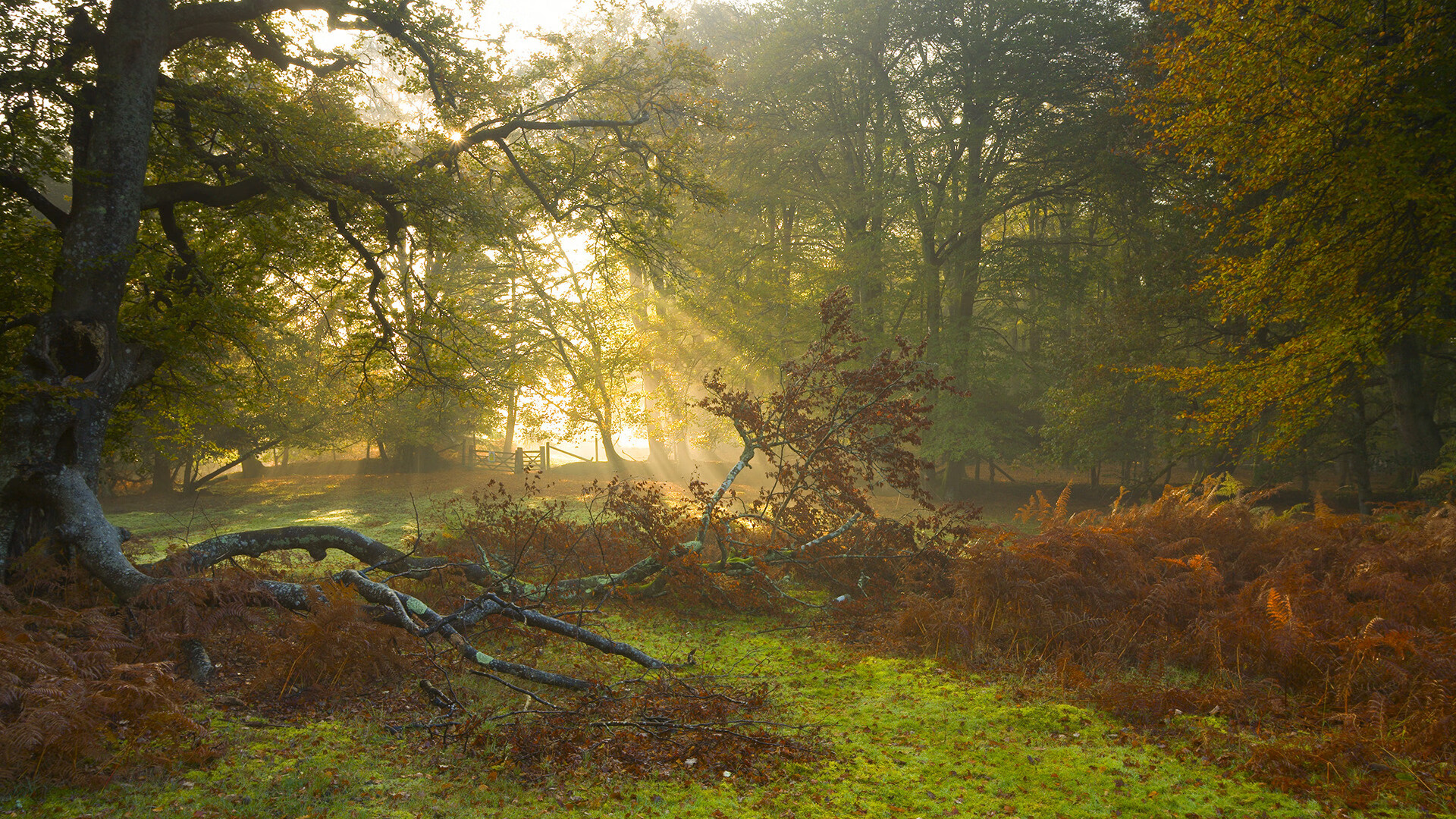 防线上的狙击手，阿拉巴的制胜密码与切尔西的战术炼金术
